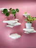 Tree Sponge Mushroom Wall Shelf Set