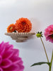 Berry Mushroom Wall Shelf