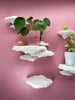 Tree Sponge Mushroom Wall Shelf Set