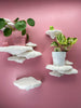 Tree Sponge Mushroom Wall Shelf Set