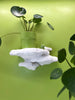 Tree Sponge Mushroom Wall Shelf