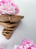 Flamingo Oyster Mushroom Wall Shelf