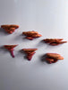 5 piece Mushroom Magnet-Set